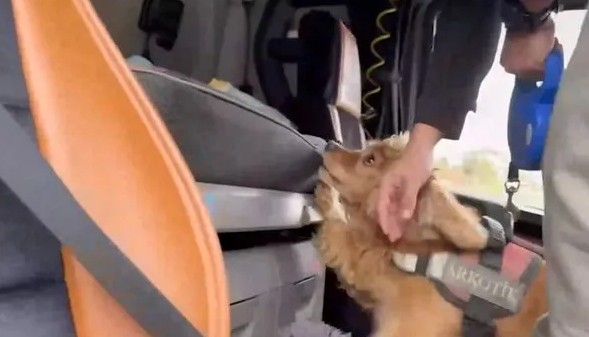 İki uyuşturucu madde satıcısı suçüstü yakalandı